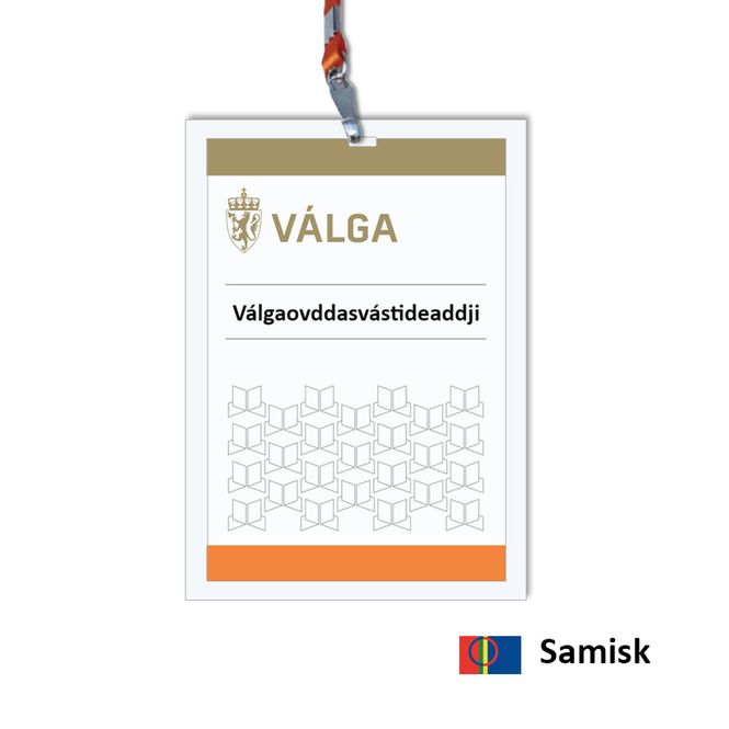 Hovedbilde Válgaovddasvástideaddji - ...